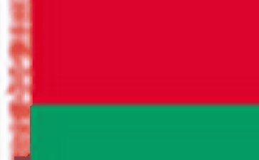 belarus Online phone number